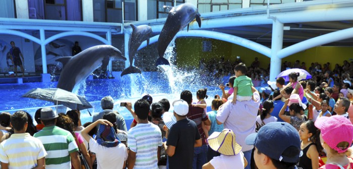 Acuario de Veracruz podría recibir 100 mil visitantes durante periodo vacacional