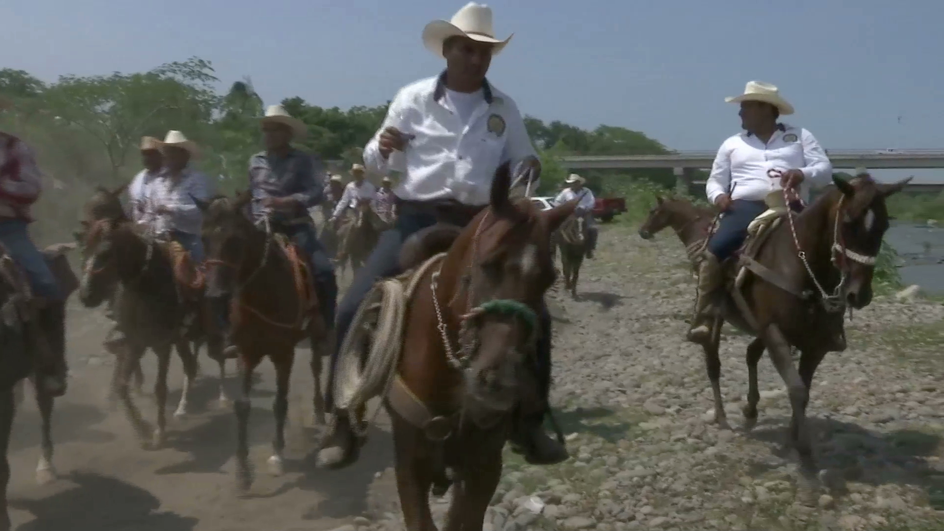 Realizan en Paso de Ovejas cabalgata “Pasos que dan vida a un nuevo bosque”