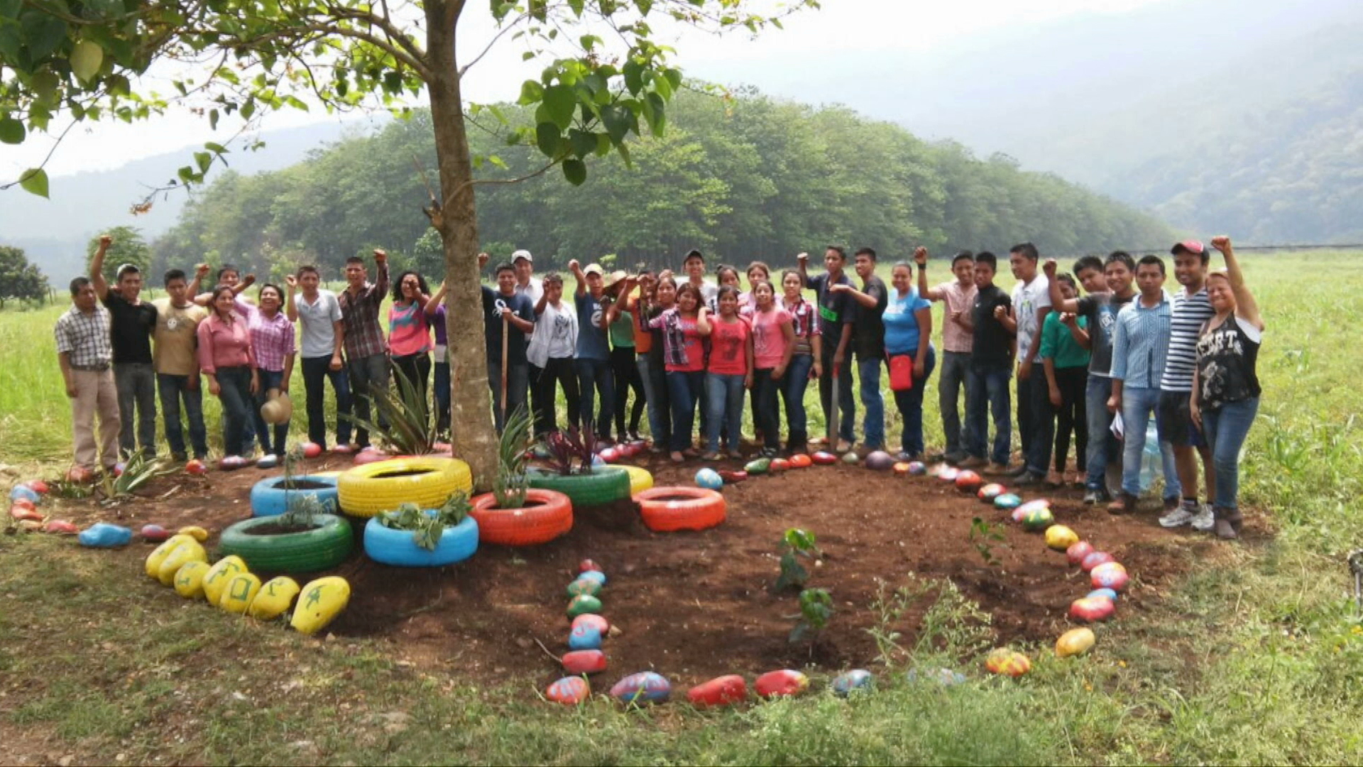 Invita Conafor a la XVII Semana Nacional de Divulgación de la Cultura Forestal