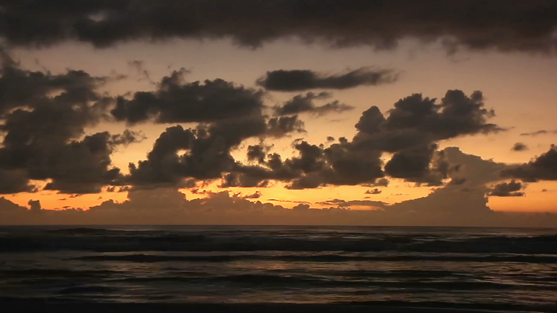 Más de Veracruz. La Mancha