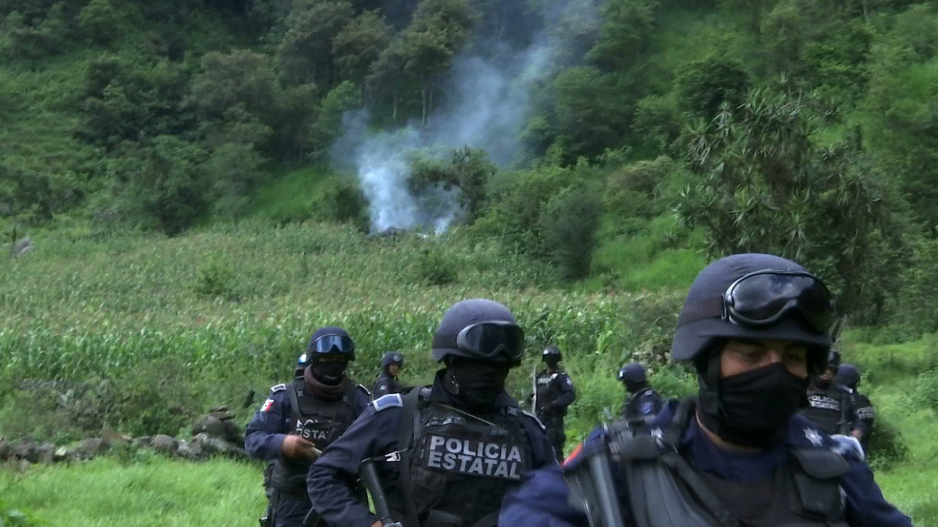 Asegura Policía Estatal plantío de marihuana