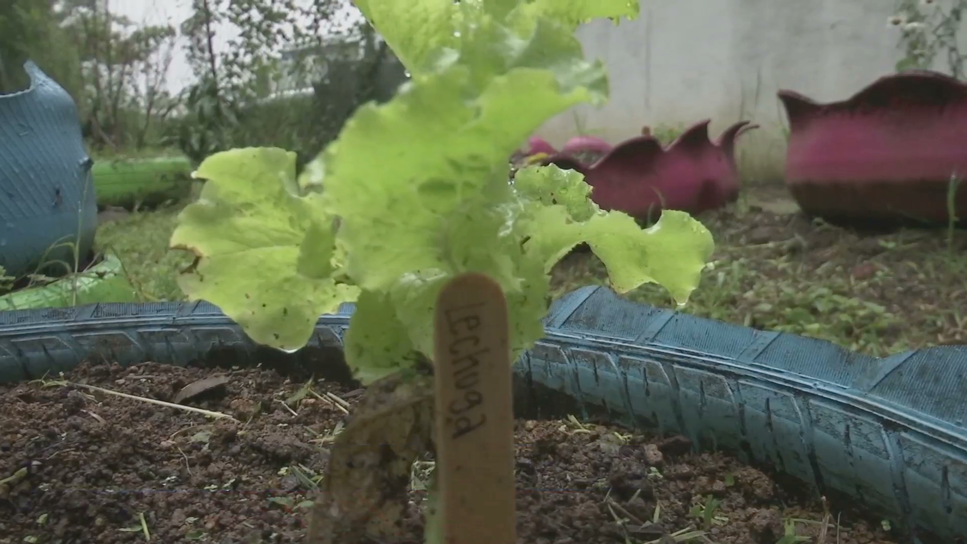 Alumnos de secundaria técnica de Tantoyuca desarrollan proyectos productivos