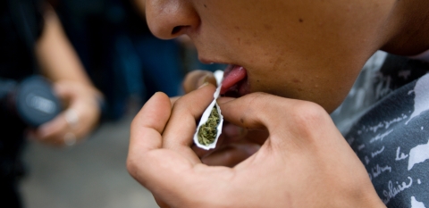 Jóvenes consumen más marihuana que alcohol y tabaco