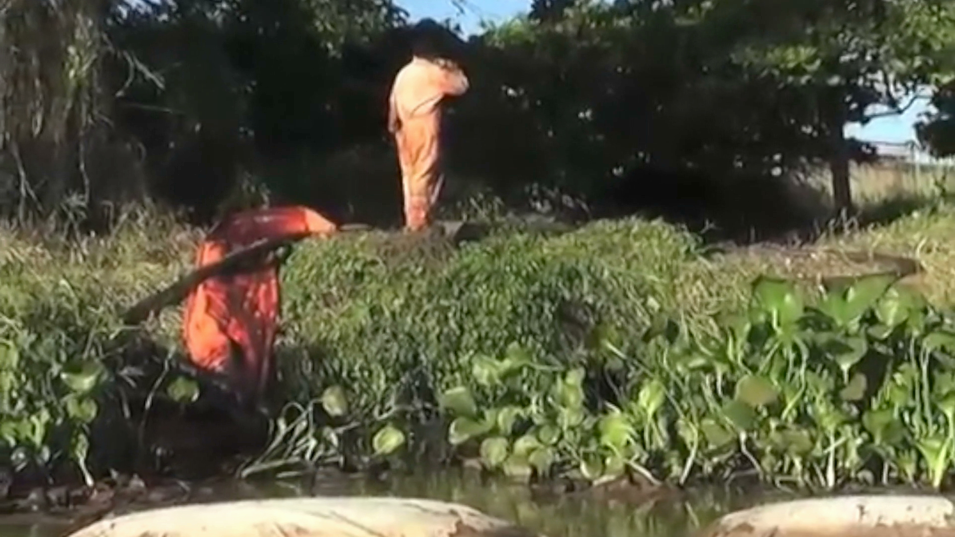 Desalojan a familias por fuga de petróleo en Poza Rica