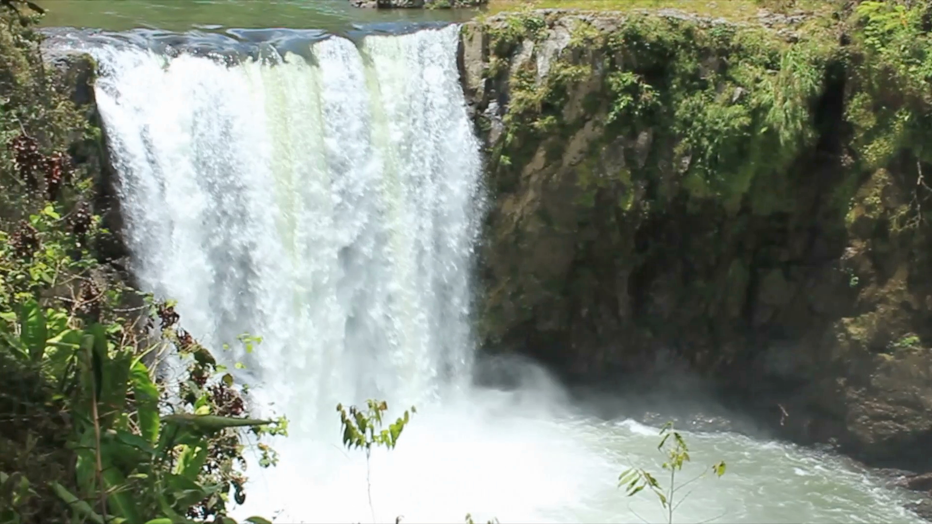 Más de Veracruz. Cascada La Tomata