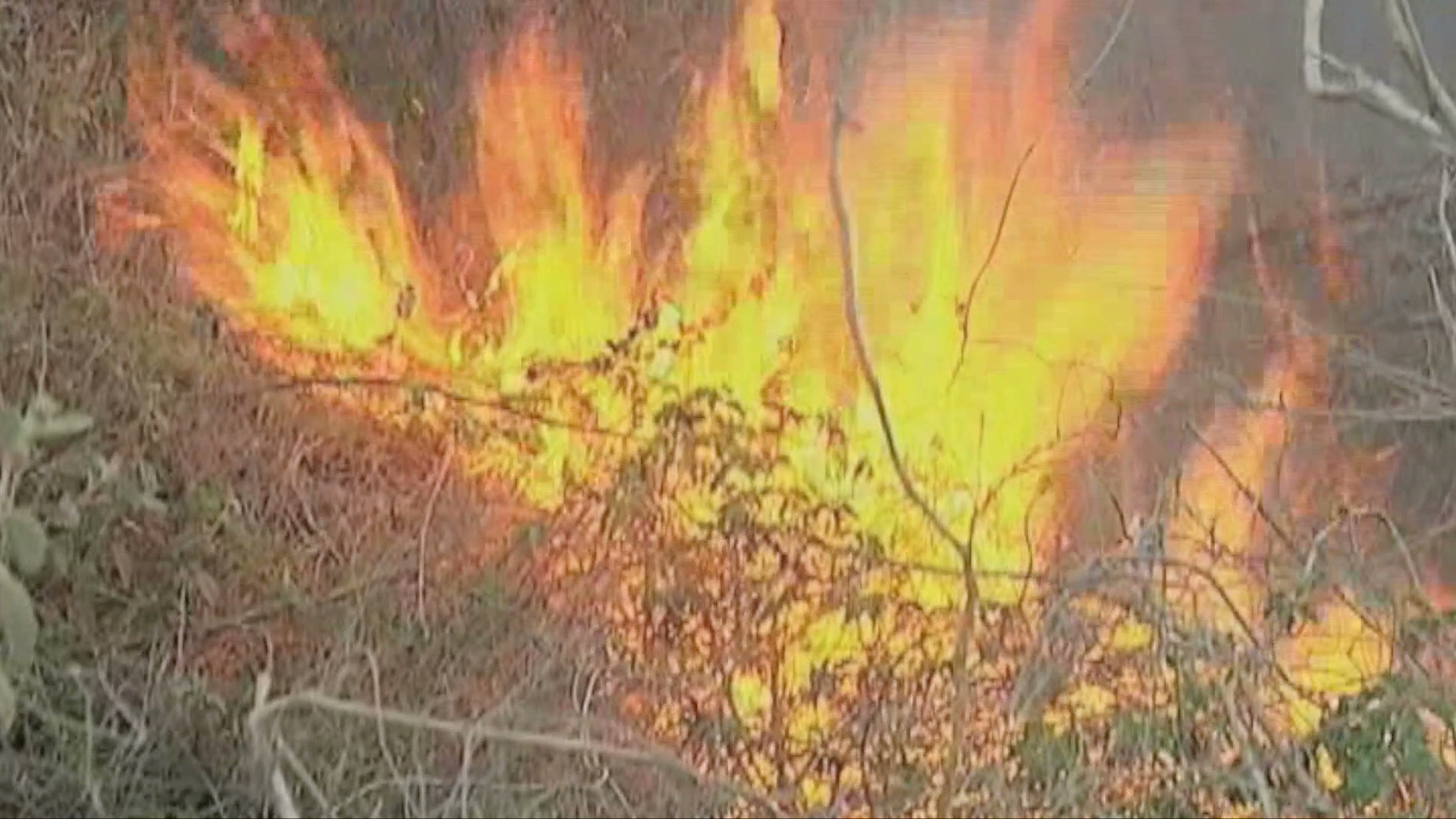 Aumentan  incendios en pastizales de la región de Xalapa