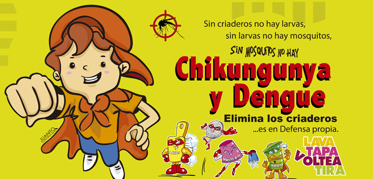 Xalapa, sin registro de casos de chikungunya: SS