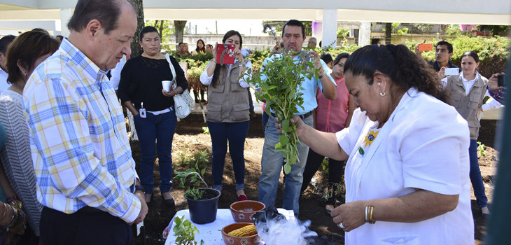 Reconoce Veracruz a sus médicos tradicionales