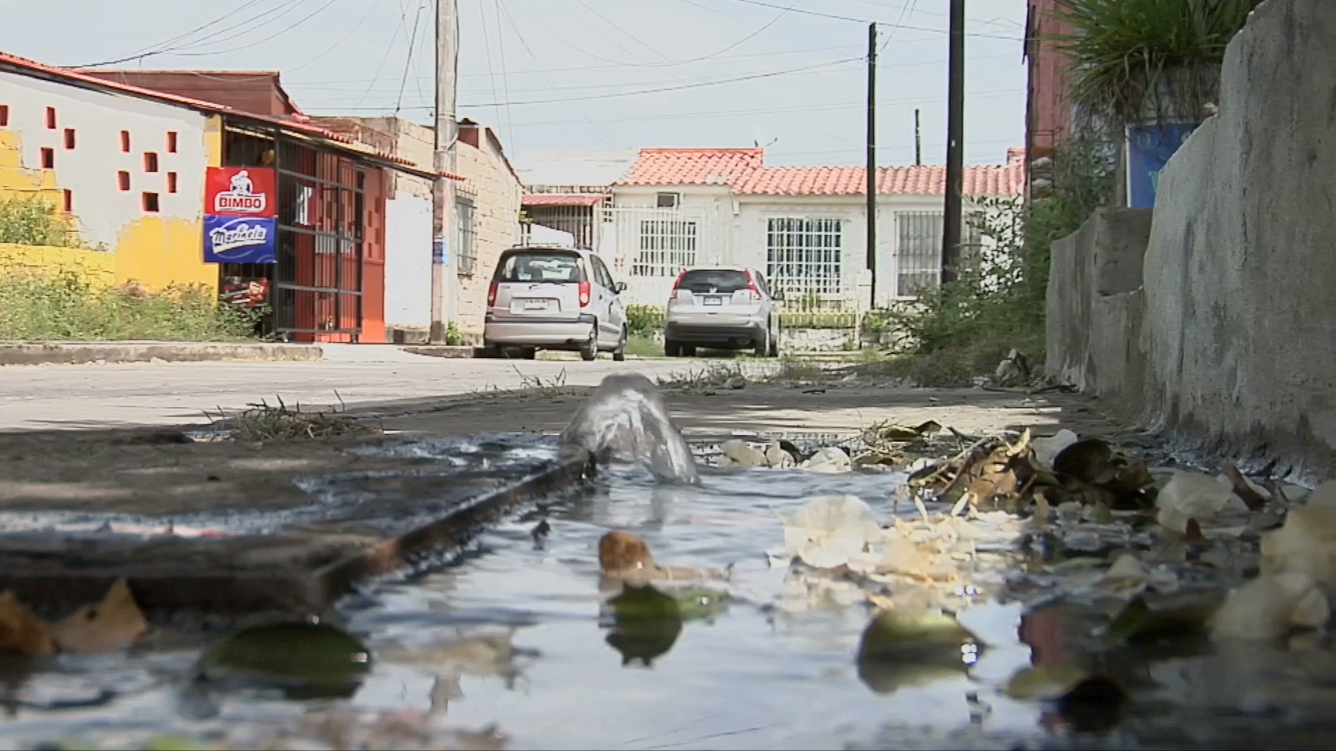 Aguas negras podrían causar enfermedades en fraccionamiento de Veracruz