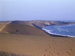 Inicia consulta para declarar Área Natural Protegida a las dunas de Chachalacas