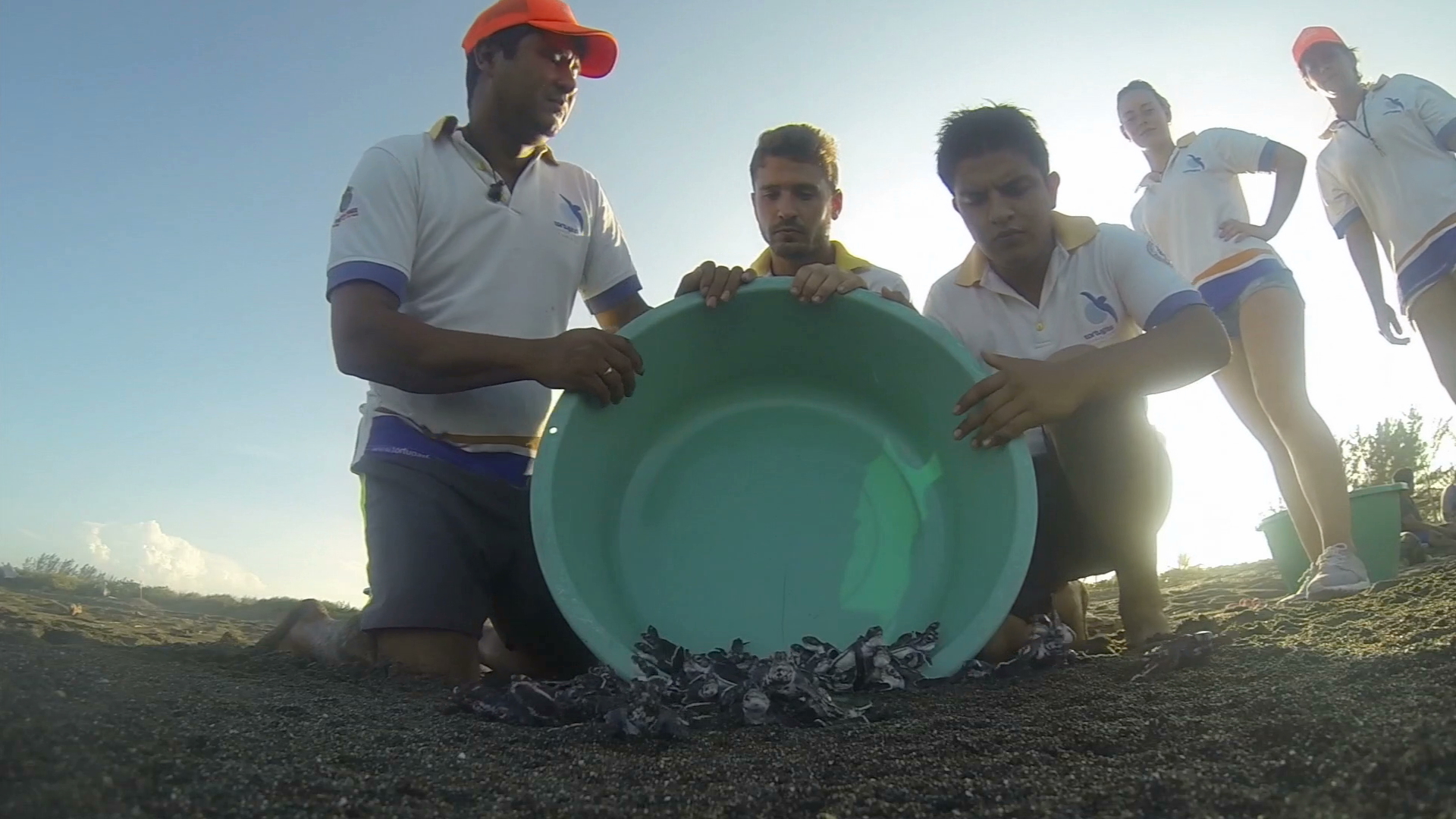 Más de Veracruz. El Raudal