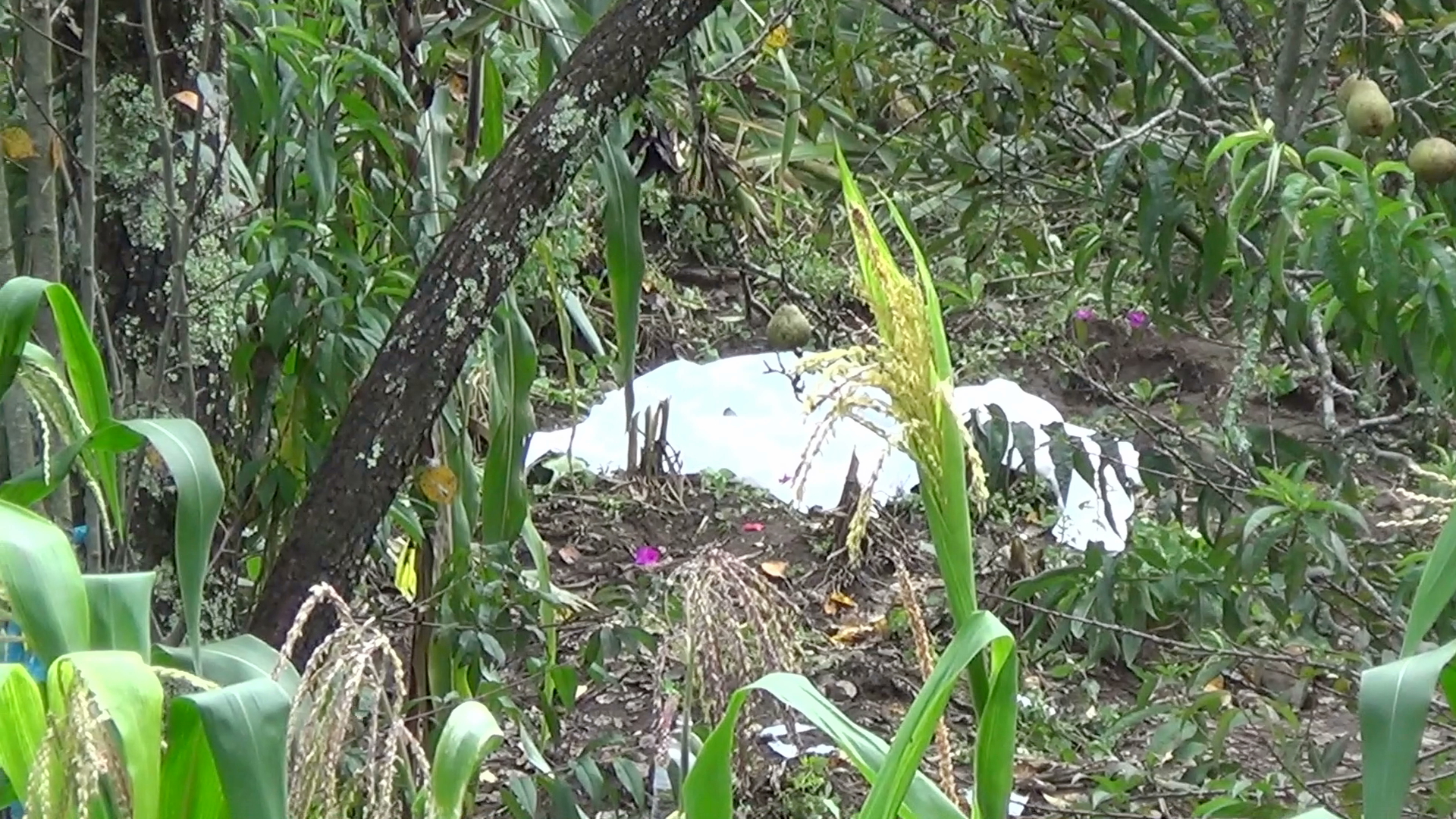 Deslave de cerro en Calcahualco deja seis víctimas