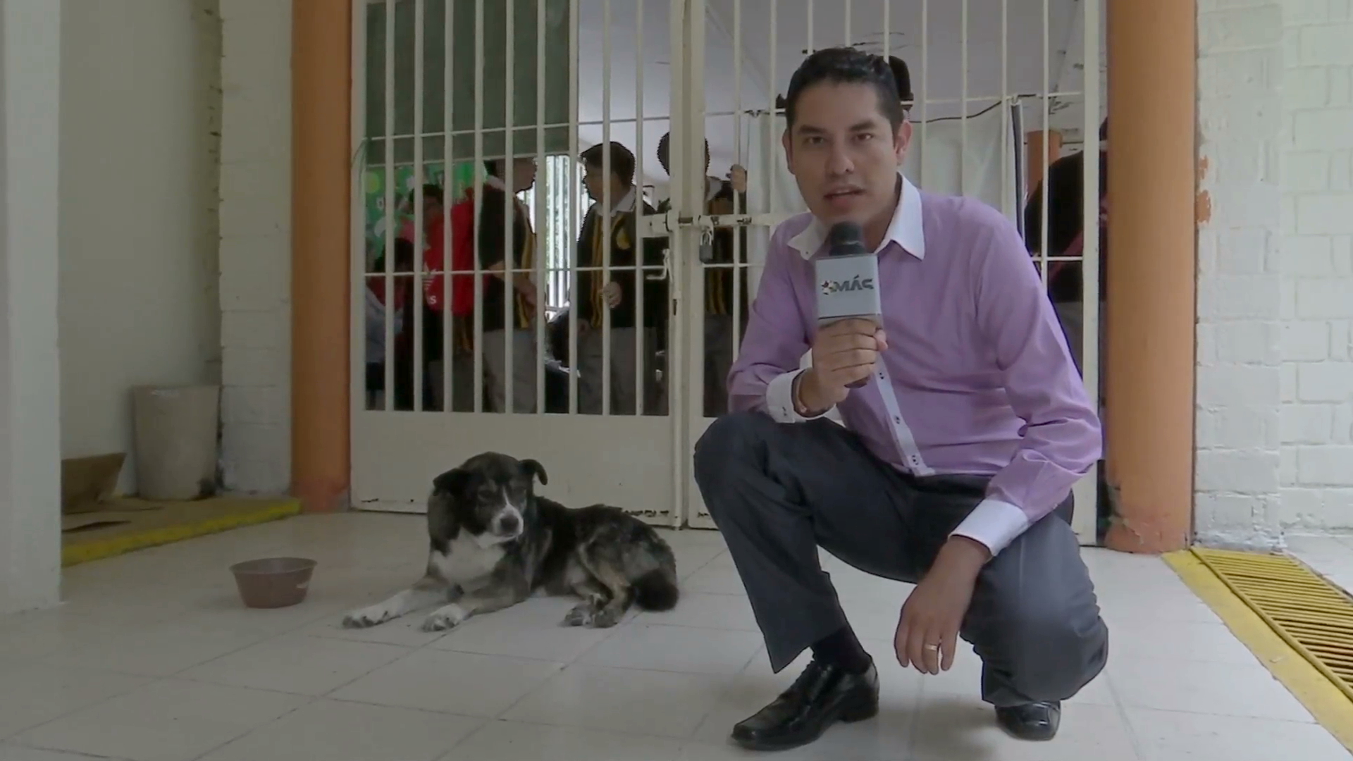 “Solovino”, el favorito de la Secundaria Técnica 3