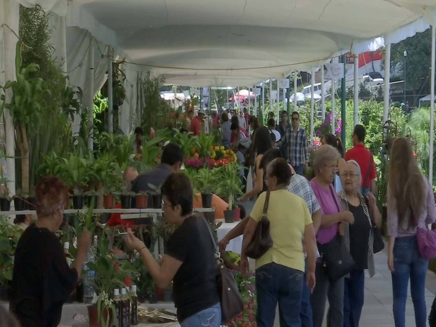 Alegría y color en el Segundo Festival de las Flores de Xalapa