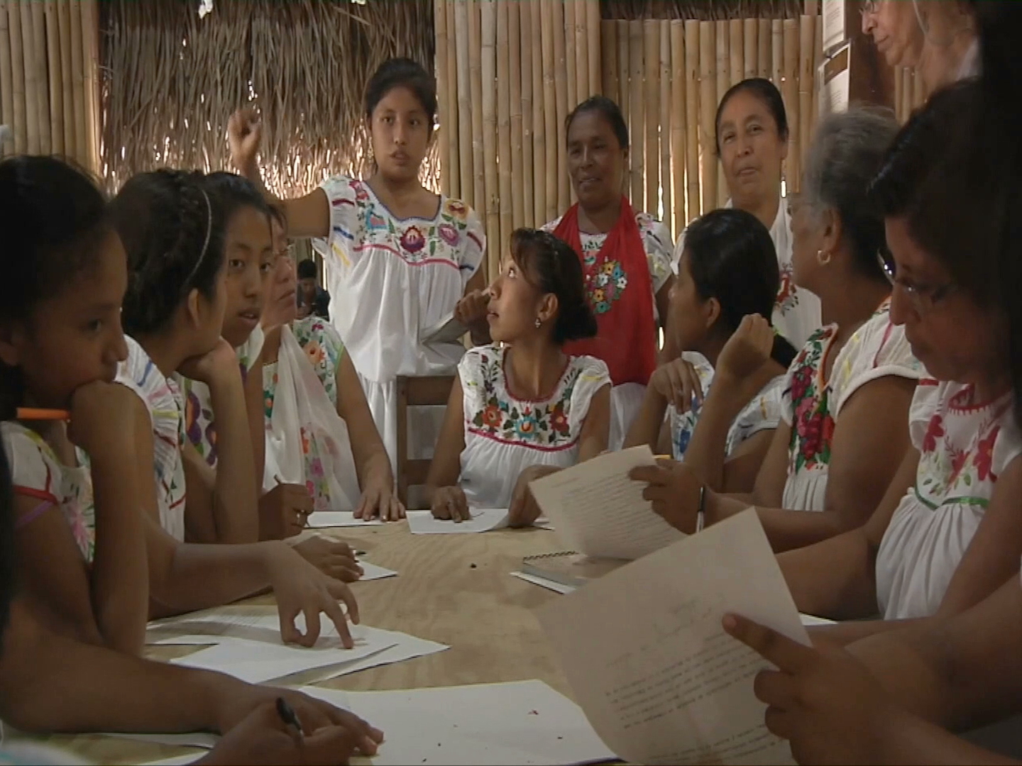 Más de Veracruz. Centro de las Artes Indígenas