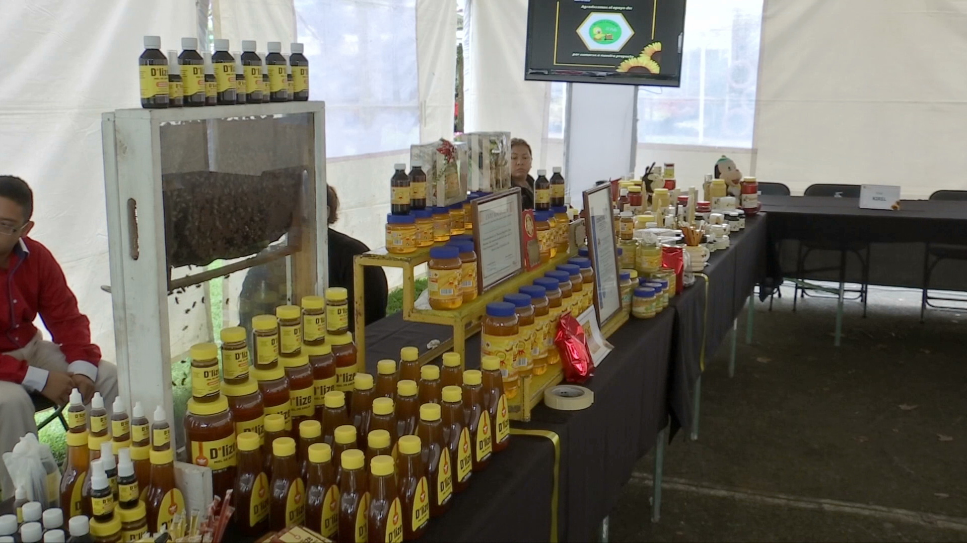 Universitarios analizan la importancia de la apicultura en Veracruz