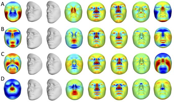 Identifica FGE cuerpos con programa informático de reconocimiento de ADN