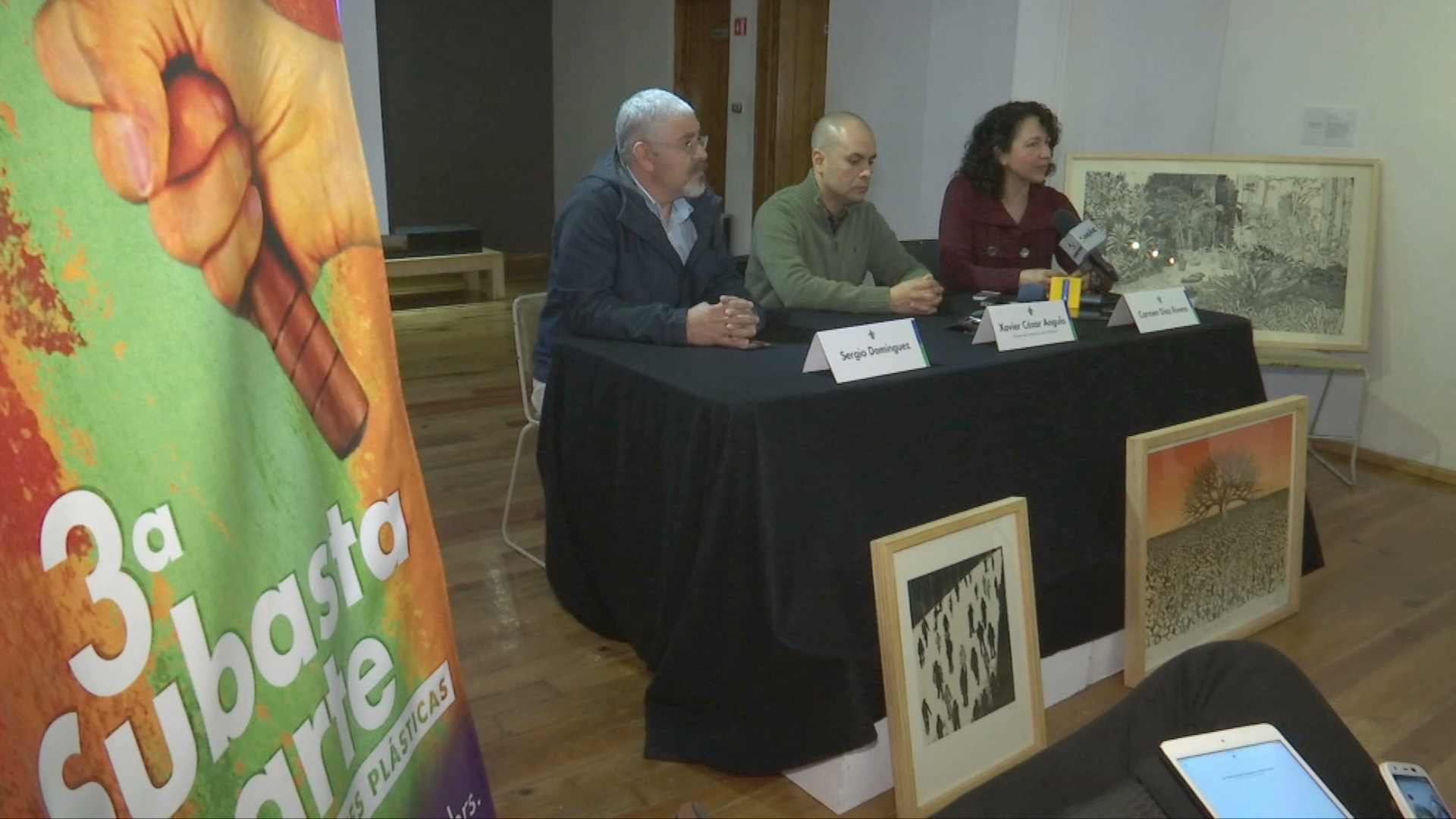 Subasta a beneficio del Instituto de Artes Plásticas de Xalapa
