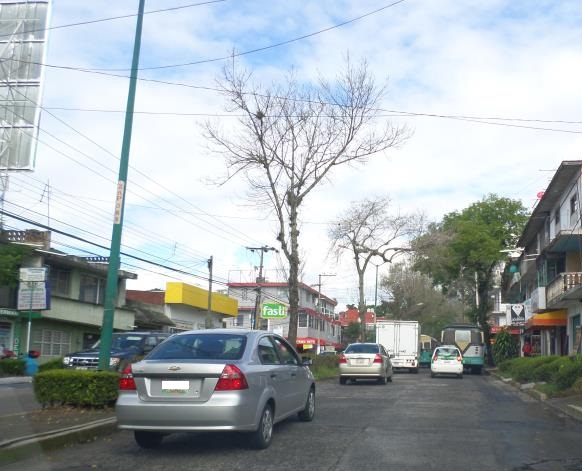 Serán de un solo sentido las avenidas Américas y 20 de noviembre de Xalapa