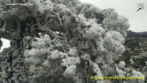 Más de tres mil personas visitaron el Cofre de Perote este fin de semana