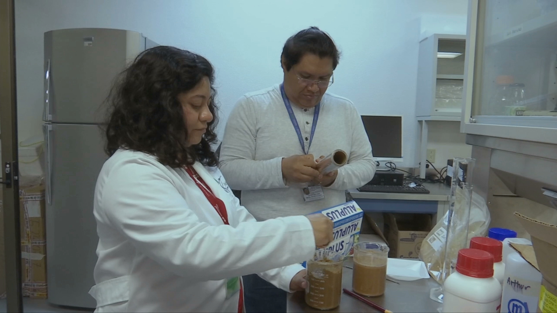 Estudia Inecol especie de escarabajo que daña al aguacate