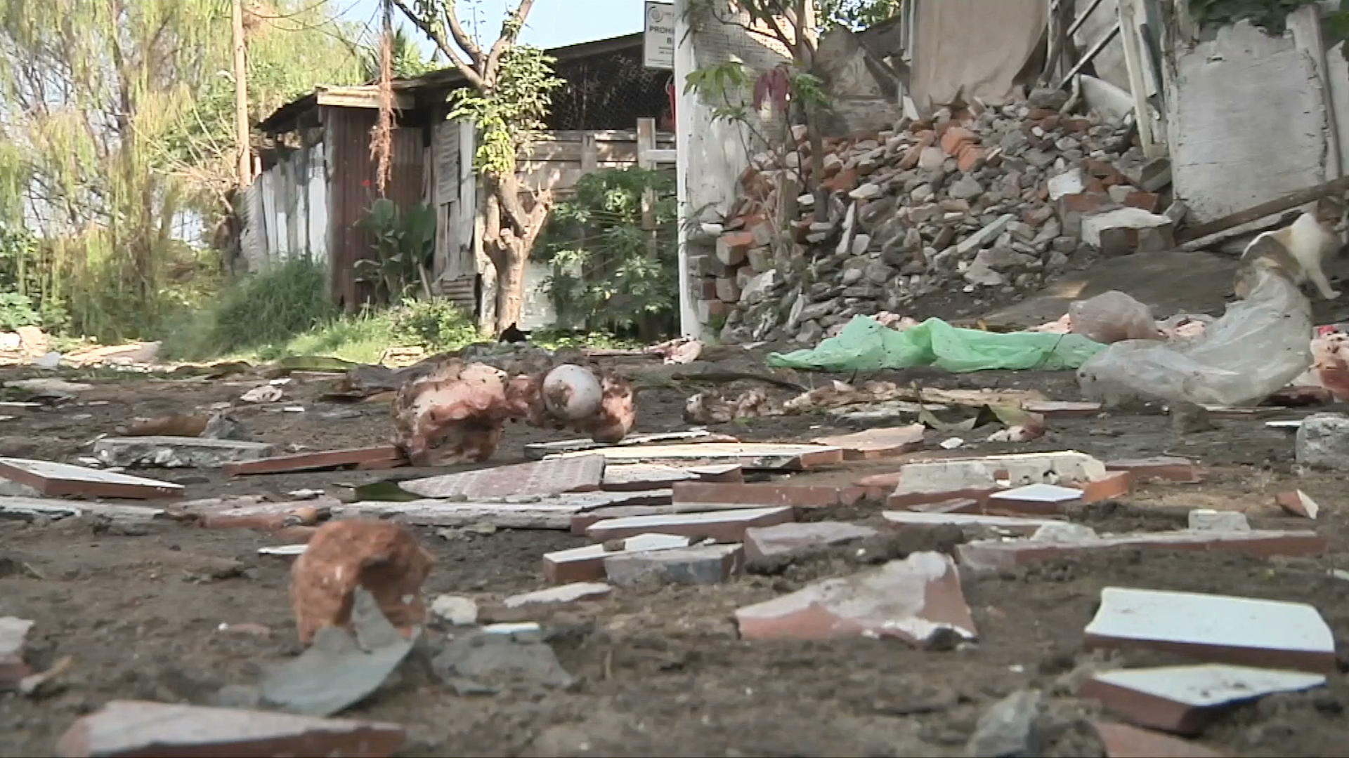 Aumenta contaminación en la laguna El Olvido