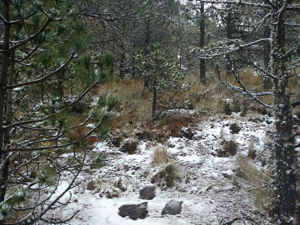 Disfrutan la segunda nevada de este año en el Cofre de Perote