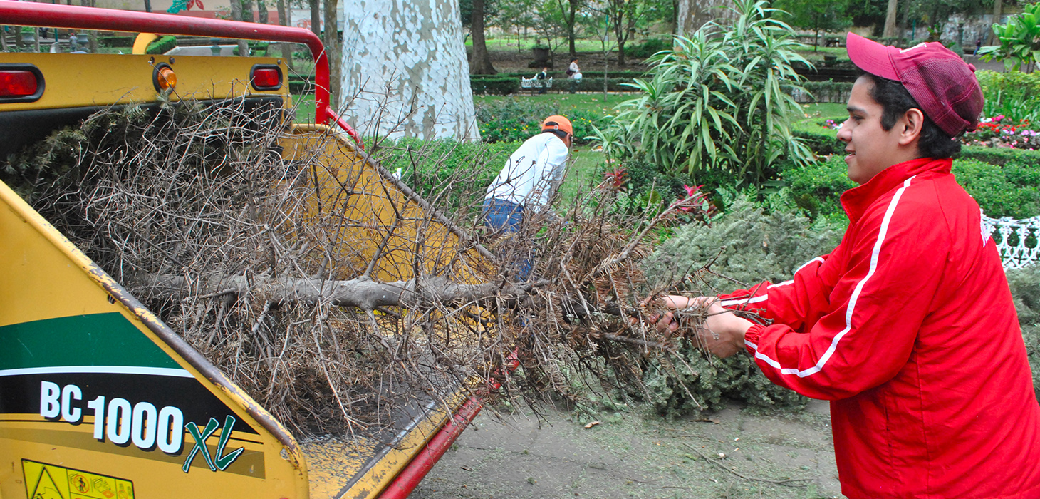Este 07 de enero inicia la campaña Recicla tu Navidad