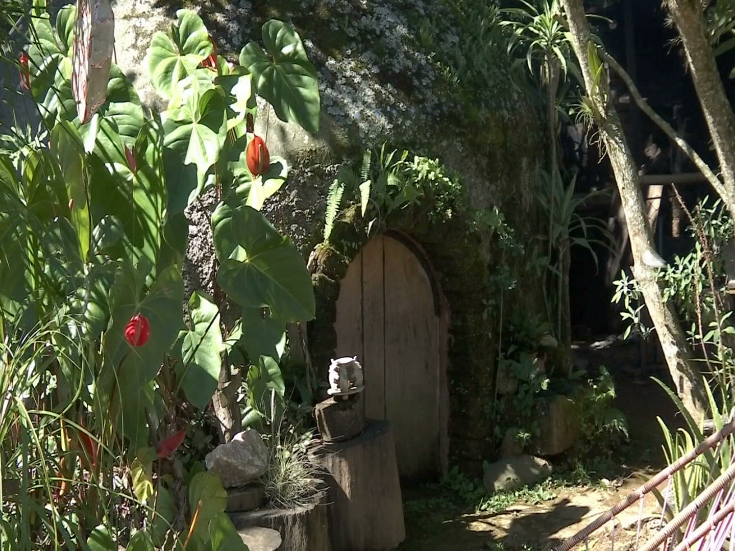 Temazcales, forma ancestral de purificar el cuerpo