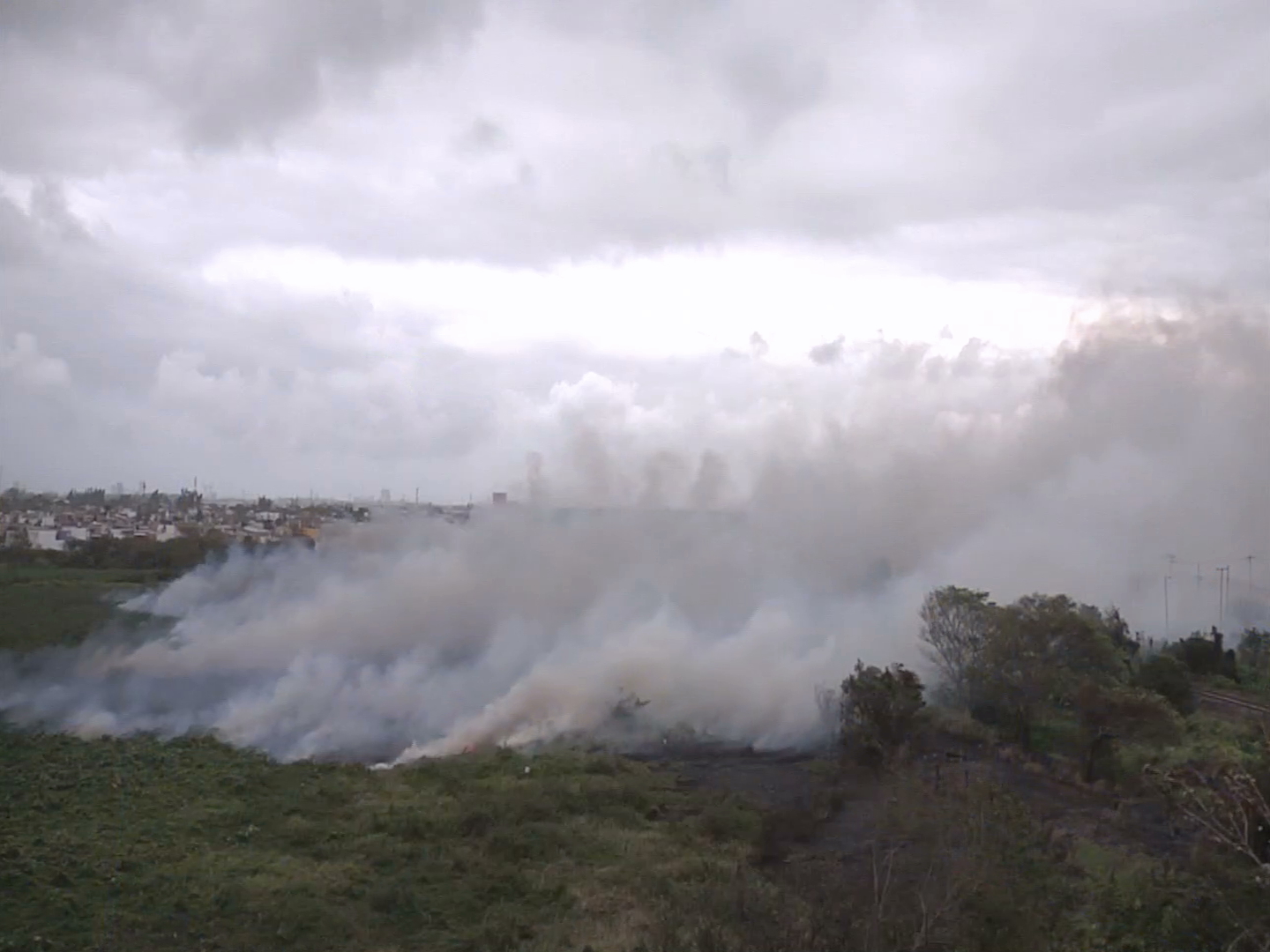 Rachas por Frente Frío provocaron incendio de pastizal en carretera Veracruz-Xalapa
