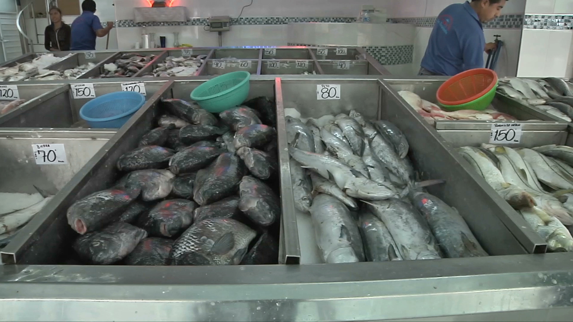 Comerciantes esperan que temporada de huracanes no afecte precio de pescado
