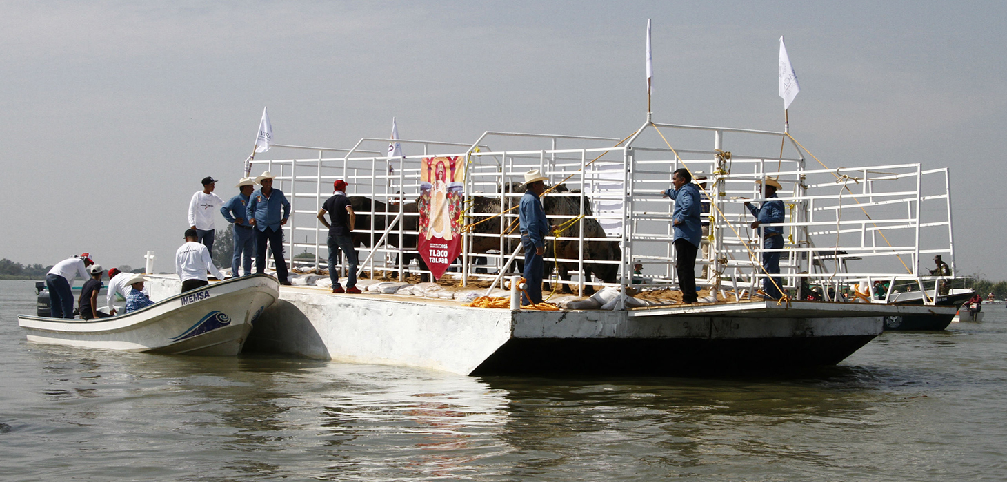 Privilegia SEDEMA protección animal en Fiesta de La Candelaria