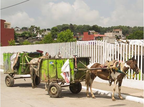 Cambian caballos por motocicletas en carretas recolectoras de basura