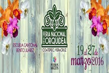 Regresa la feria de la orquídea a Coatepec