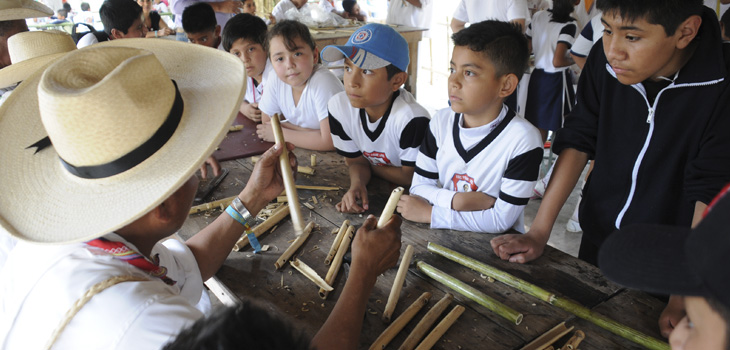 Estudiantes de educación básica podrán entrar gratis a Cumbre Tajín