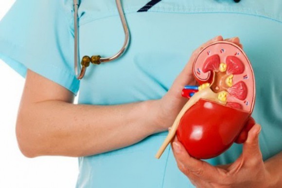 Sólo 4% de la población mexicana dona órganos y tejidos