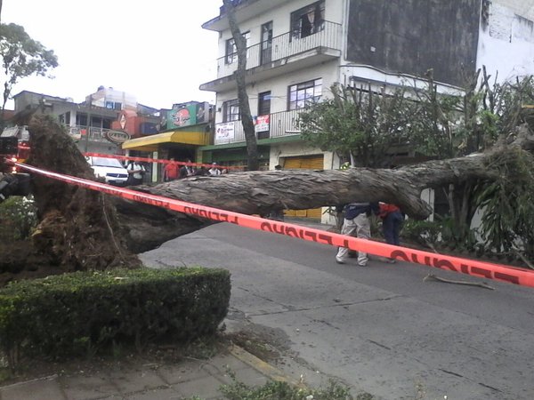 Surada afecta 40 municipios en Veracruz