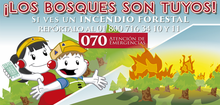 Temperaturas muy altas y condiciones para posibles incendios forestales en Veracruz