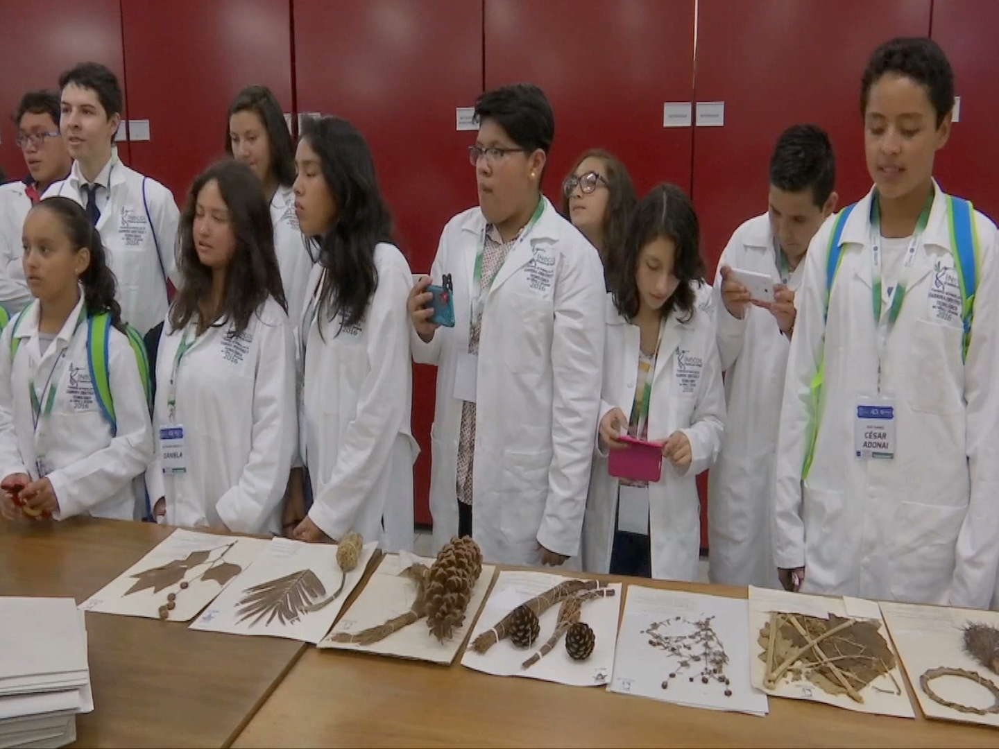 Concluye Inecol su Programa para fomentar la carrera científica en niños