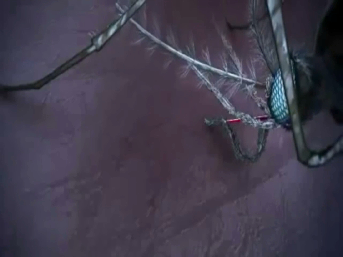 Se reafirma Veracruz como estado libre de paludismo