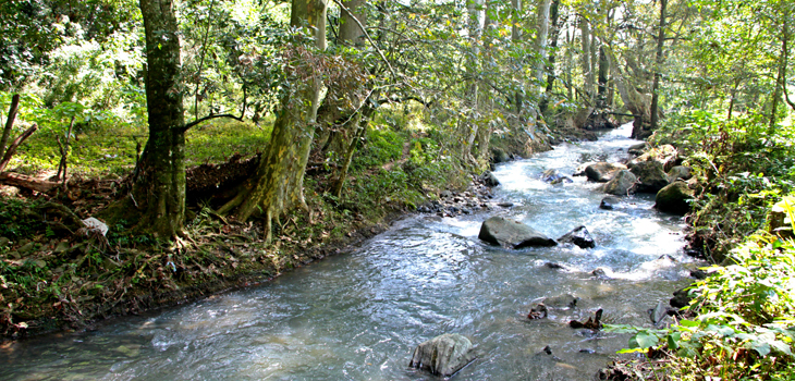 Parque Lineal Quetzalapan-Sedeño, nueva Área Natural Protegida de Veracruz