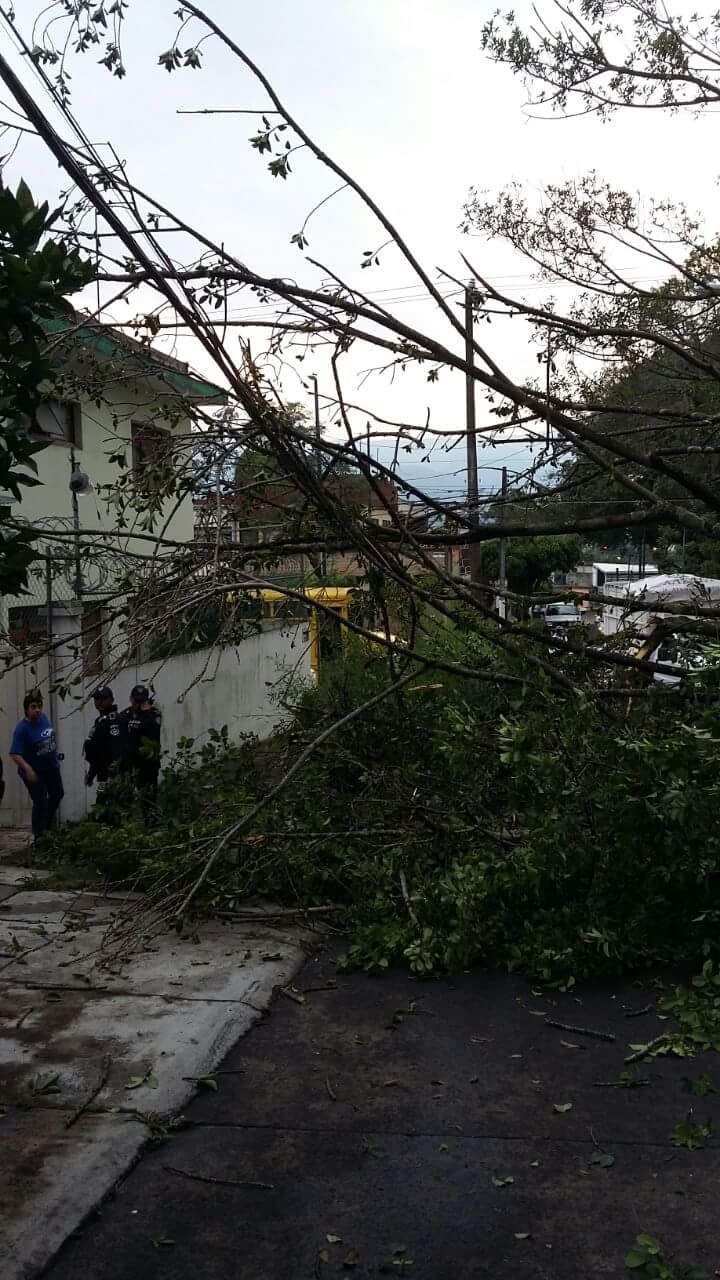 Siete árboles caídos, incendios e inundaciones dejó tormenta en Xalapa