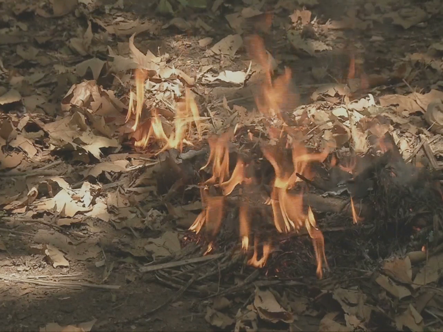 Piden extremar precauciones para evitar incendios por altas temperaturas