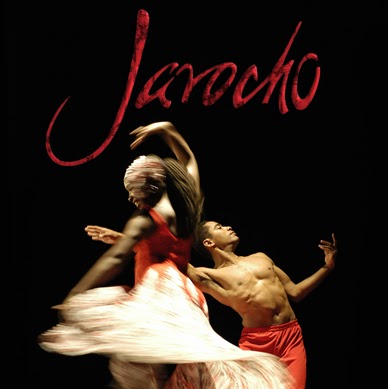 Jarocho celebra 20 años, en Xalapa