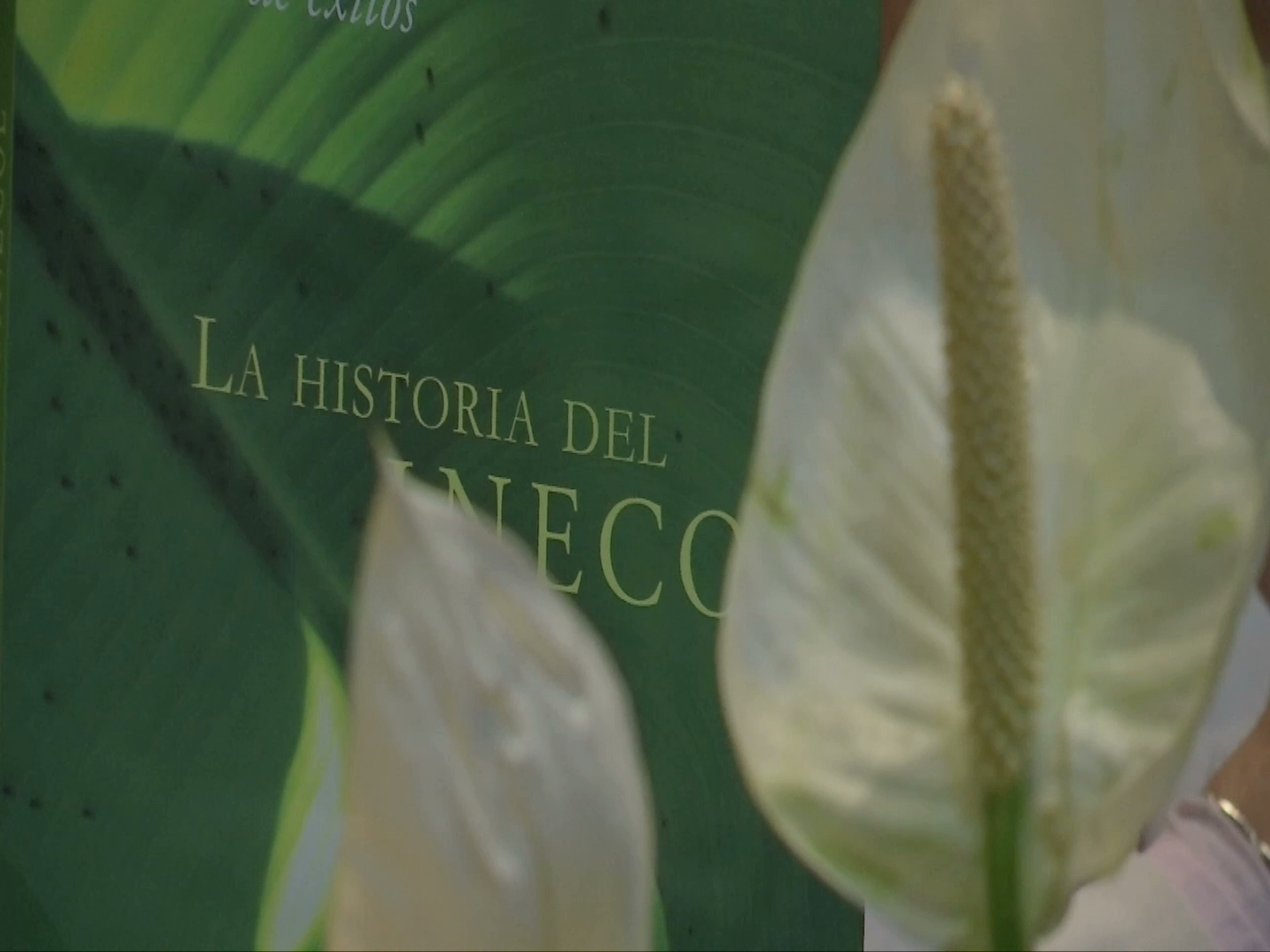 Presentan 40 años de grandes aportaciones del Instituto de Ecología