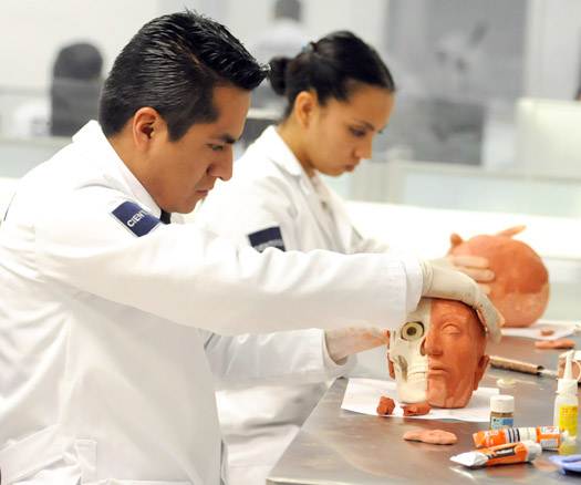 Más elementos de la Policía Científica investigarán restos hallados en el puerto de Veracruz: Roberto Campa