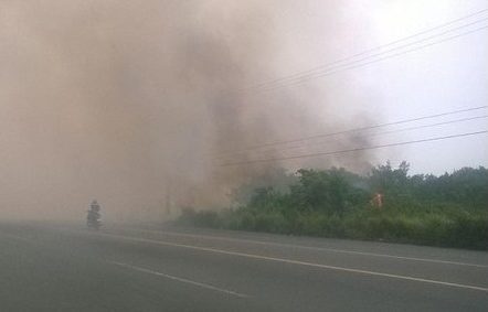 En carretera no disminuir velocidad y encender luces ante incendios de pastizales: Bomberos