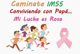 Invita IMSS a caminata en el puerto de Veracruz