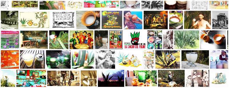 Invitan al II Foro Regional del Pulque, en Las Vigas