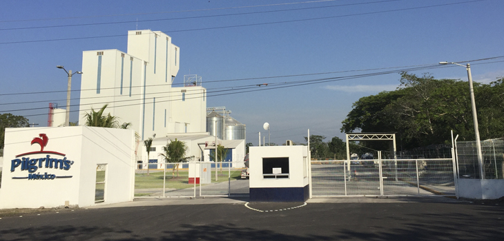 Será Veracruz uno de los principales productores avícolas a nivel nacional: SEDECOP